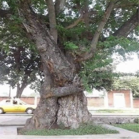 Screenshot 2024-11-23 at 14.55.30